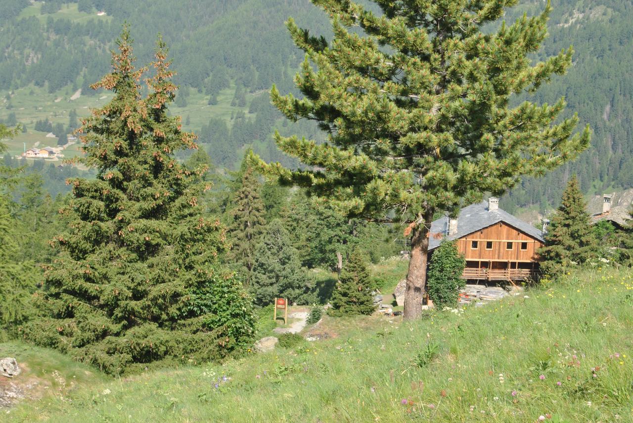 Hotel Frantze, Le Rascard 1721 Champoluc Esterno foto